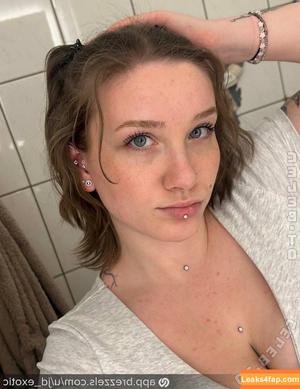 jd_exotic фото #0063