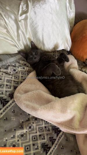 jeannnnnnn фото #0192
