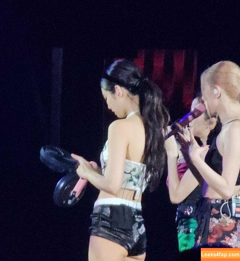 Jennie | BLΛƆKPIИK / Blackpink / jennierubyjane / sheflieshigh слитое фото фото #0216