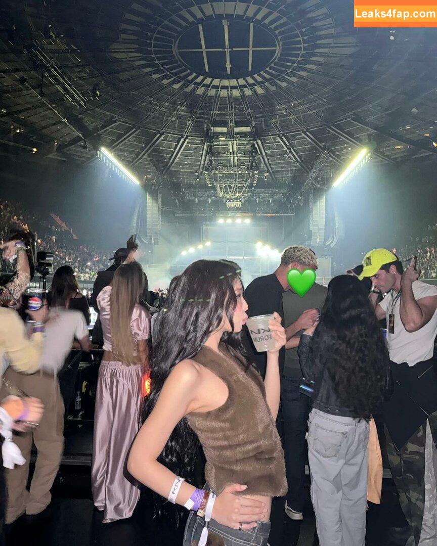 Jennie | BLΛƆKPIИK / Blackpink / jennierubyjane / sheflieshigh leaked photo photo #1113