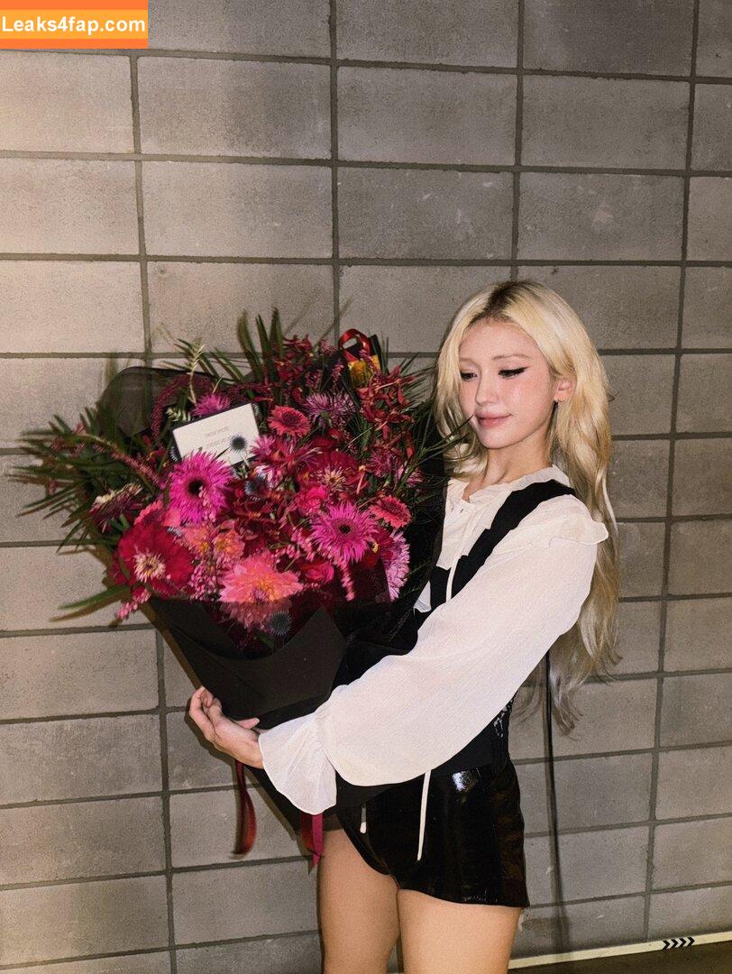 Jeon Somi / ENNIK SOMI / somsomi0309 leaked photo photo #0307