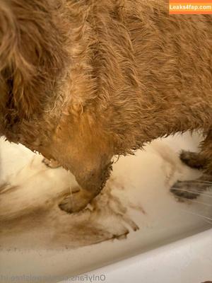 jewelsfree.irl фото #0080