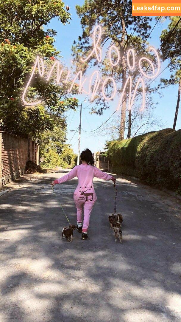 Jimena Sanchez / jimenasanchezmx / ximena.sanchez слитое фото фото #0719