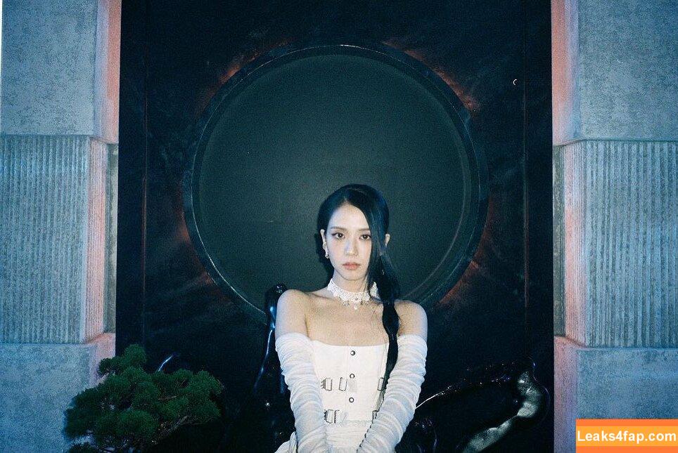 Jisoo / BLACKPINK / qenshizu / sooyaaa__ слитое фото фото #0052