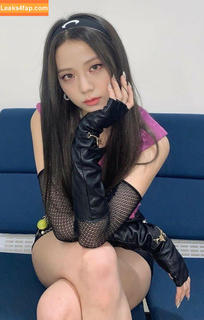 Jisoo / BLACKPINK / qenshizu / sooyaaa__ leaked photo photo #0174