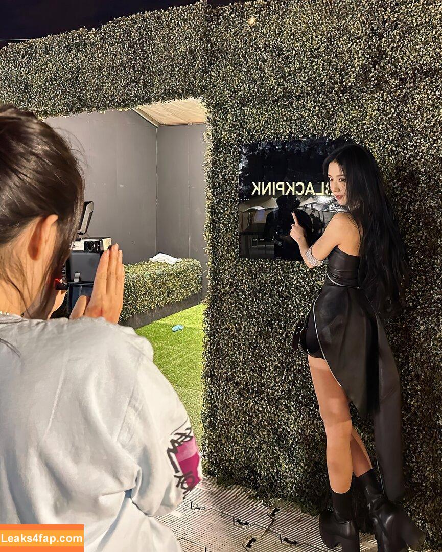 Jisoo / BLACKPINK / qenshizu / sooyaaa__ слитое фото фото #0274