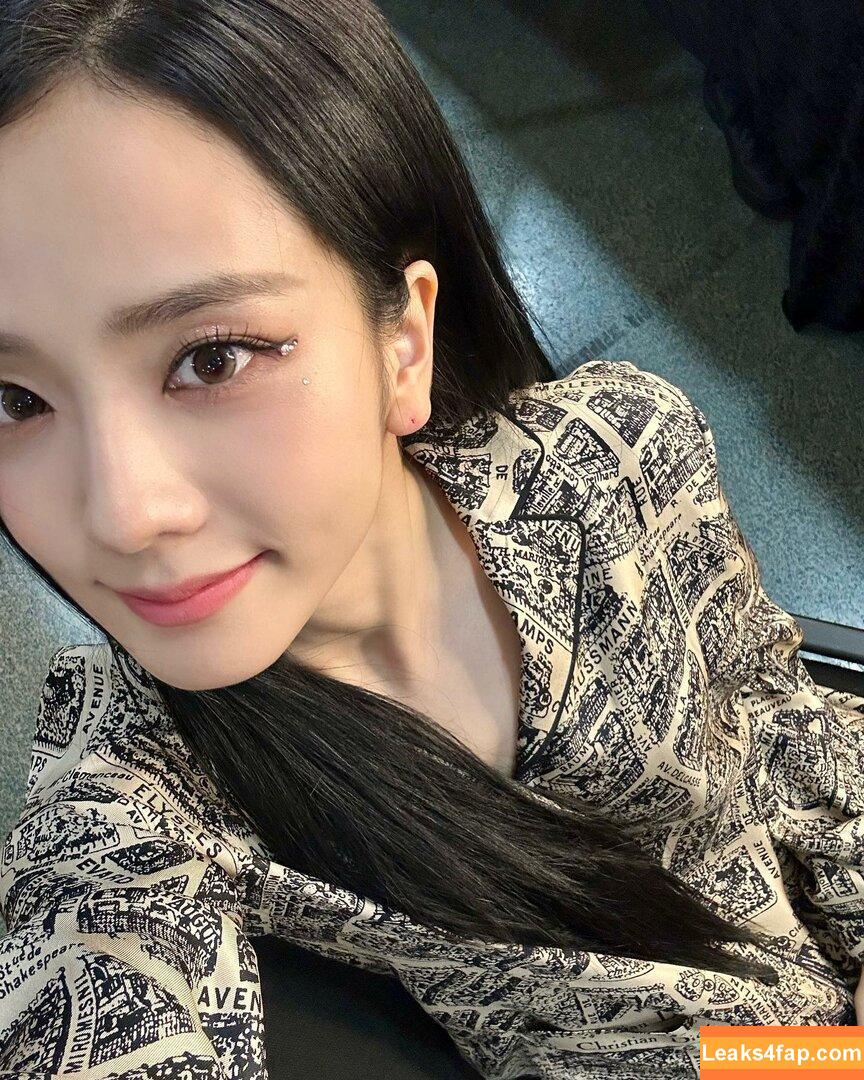 Jisoo / BLACKPINK / qenshizu / sooyaaa__ слитое фото фото #0283