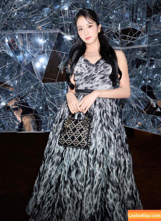 Jisoo / BLACKPINK / qenshizu / sooyaaa__ слитое фото фото #0328