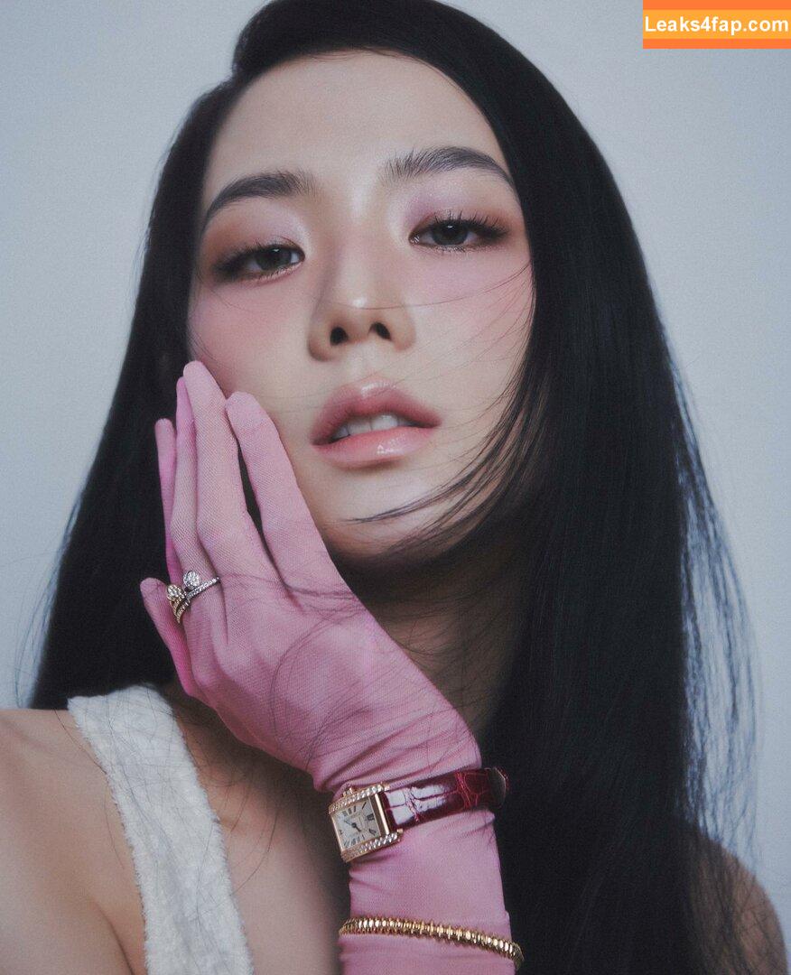 Jisoo / BLACKPINK / qenshizu / sooyaaa__ слитое фото фото #0350