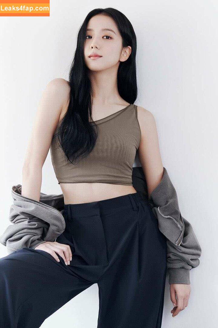 Jisoo / BLACKPINK / qenshizu / sooyaaa__ слитое фото фото #0414