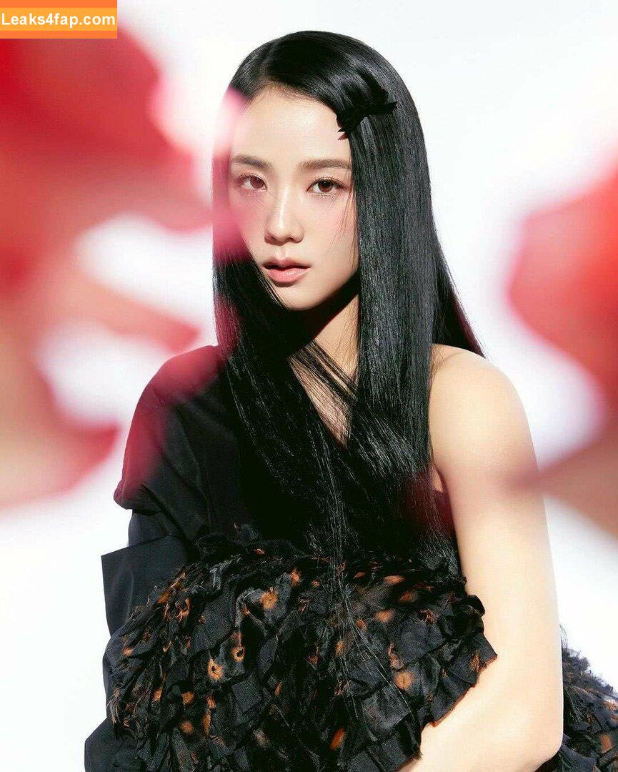 Jisoo / BLACKPINK / qenshizu / sooyaaa__ слитое фото фото #0433