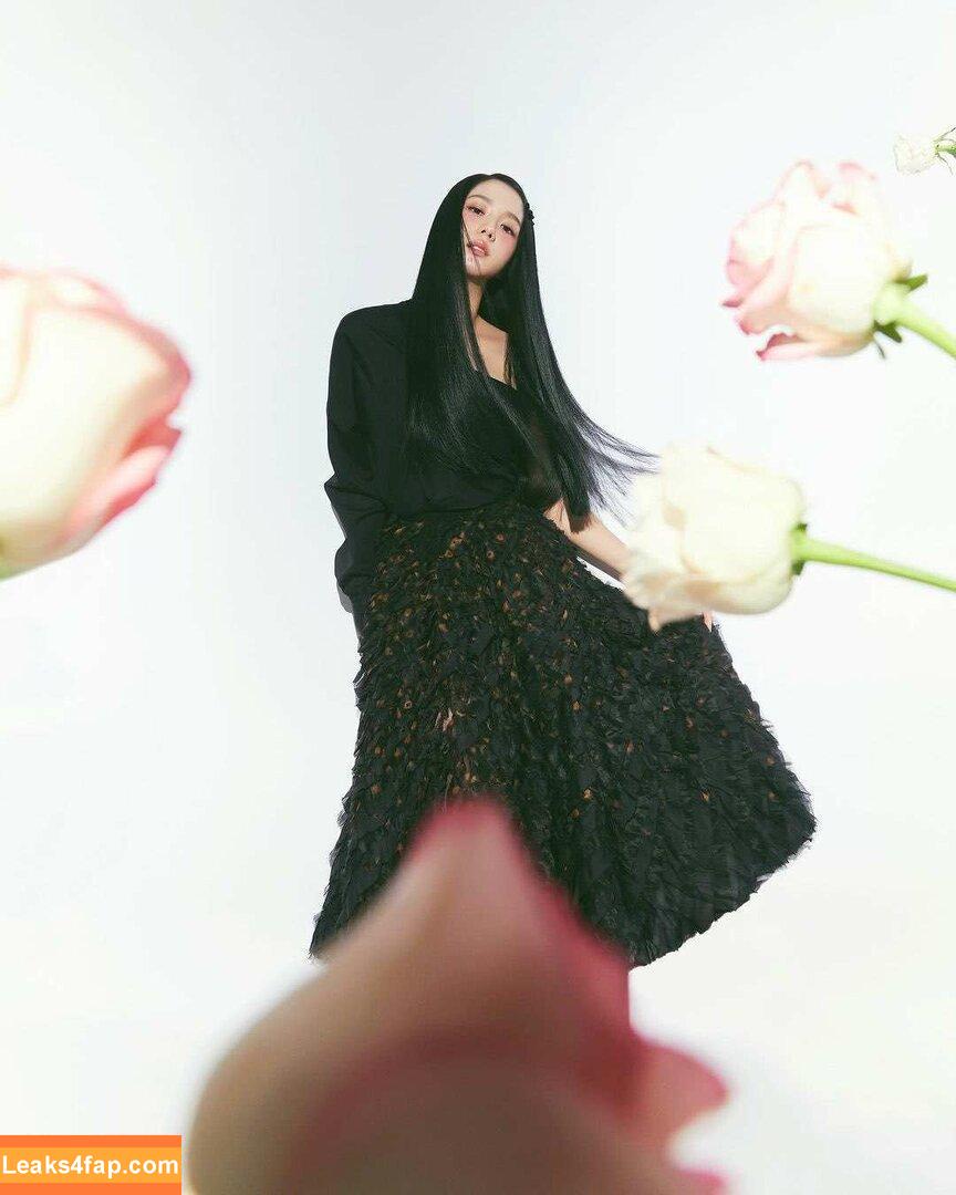 Jisoo / BLACKPINK / qenshizu / sooyaaa__ слитое фото фото #0434