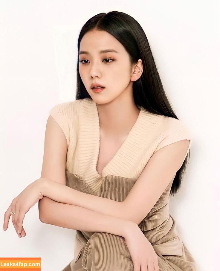Jisoo / BLACKPINK / qenshizu / sooyaaa__ слитое фото фото #0439