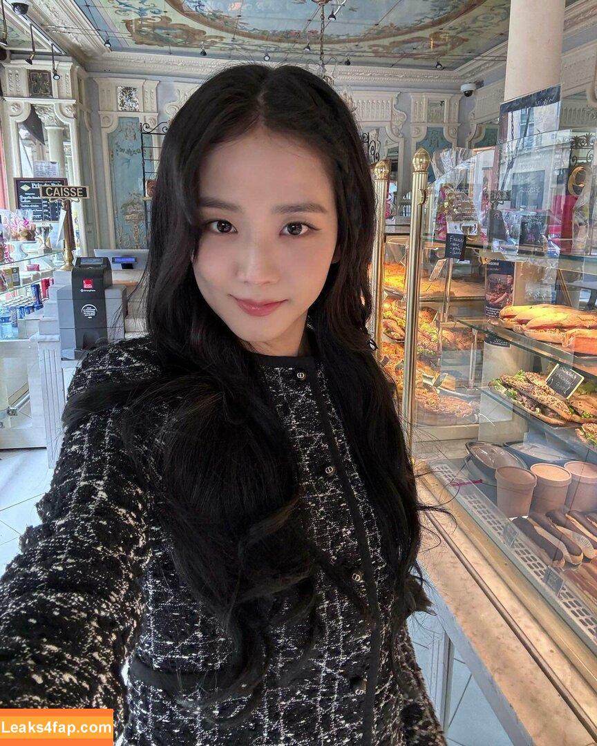 Jisoo / BLACKPINK / qenshizu / sooyaaa__ слитое фото фото #0484