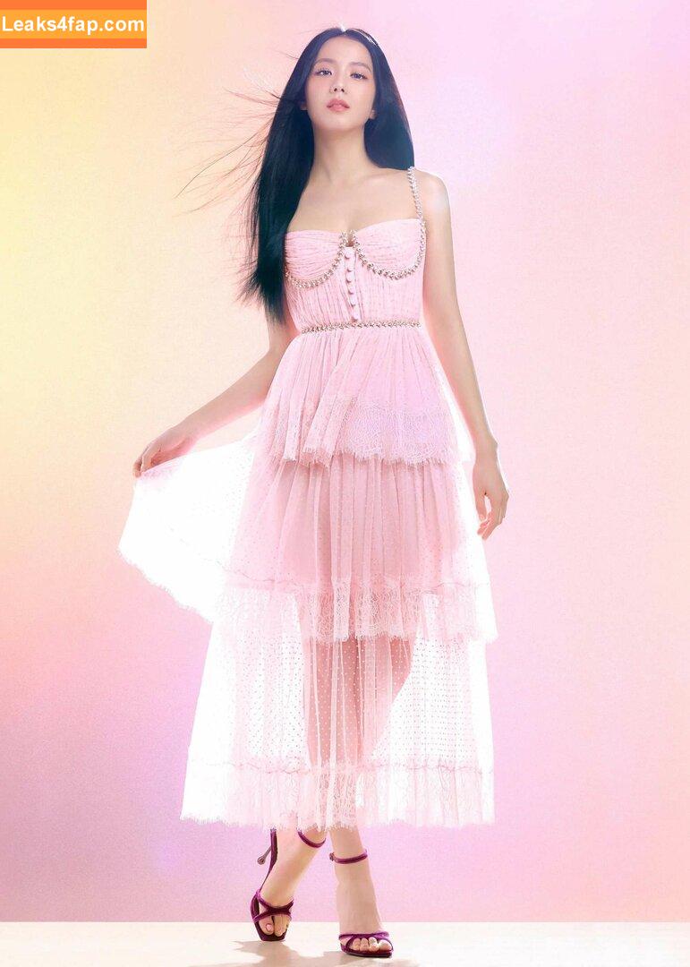 Jisoo / BLACKPINK / qenshizu / sooyaaa__ слитое фото фото #0485