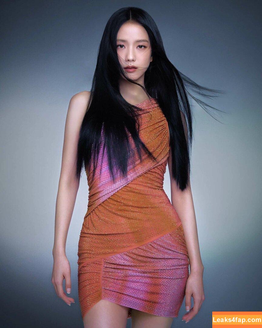 Jisoo / BLACKPINK / qenshizu / sooyaaa__ слитое фото фото #0487