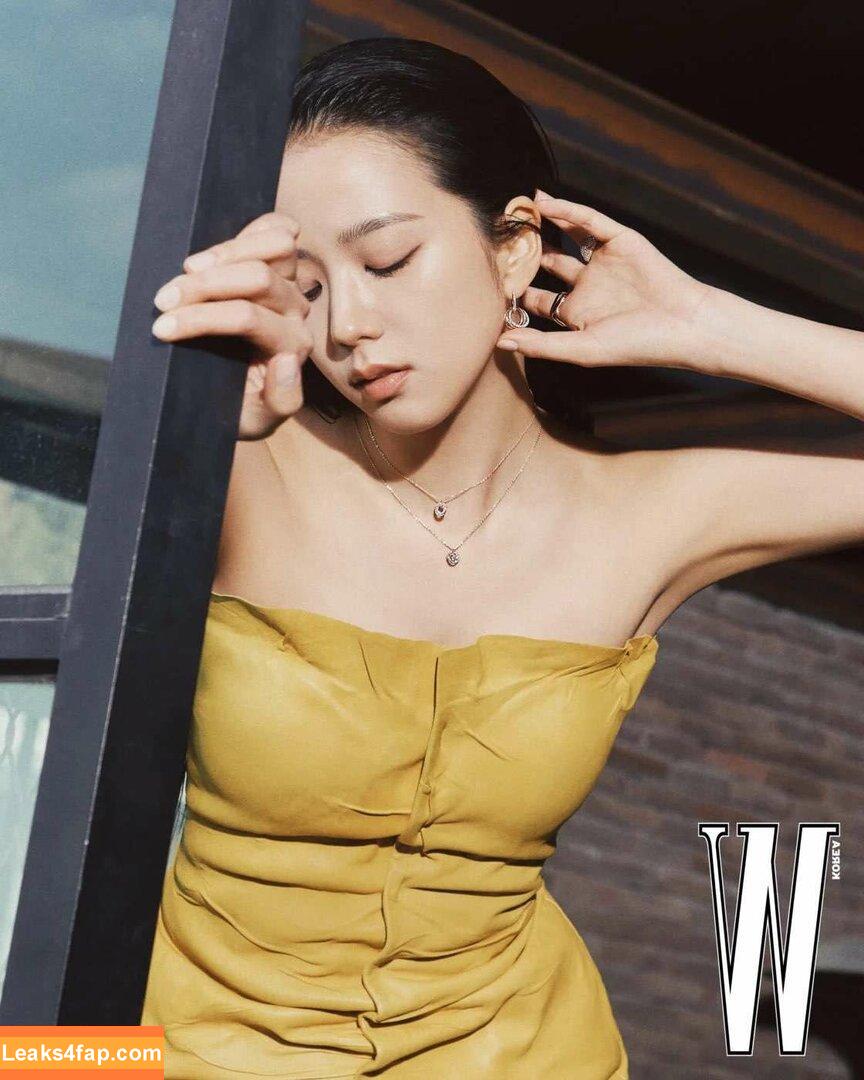 Jisoo / BLACKPINK / qenshizu / sooyaaa__ слитое фото фото #0511