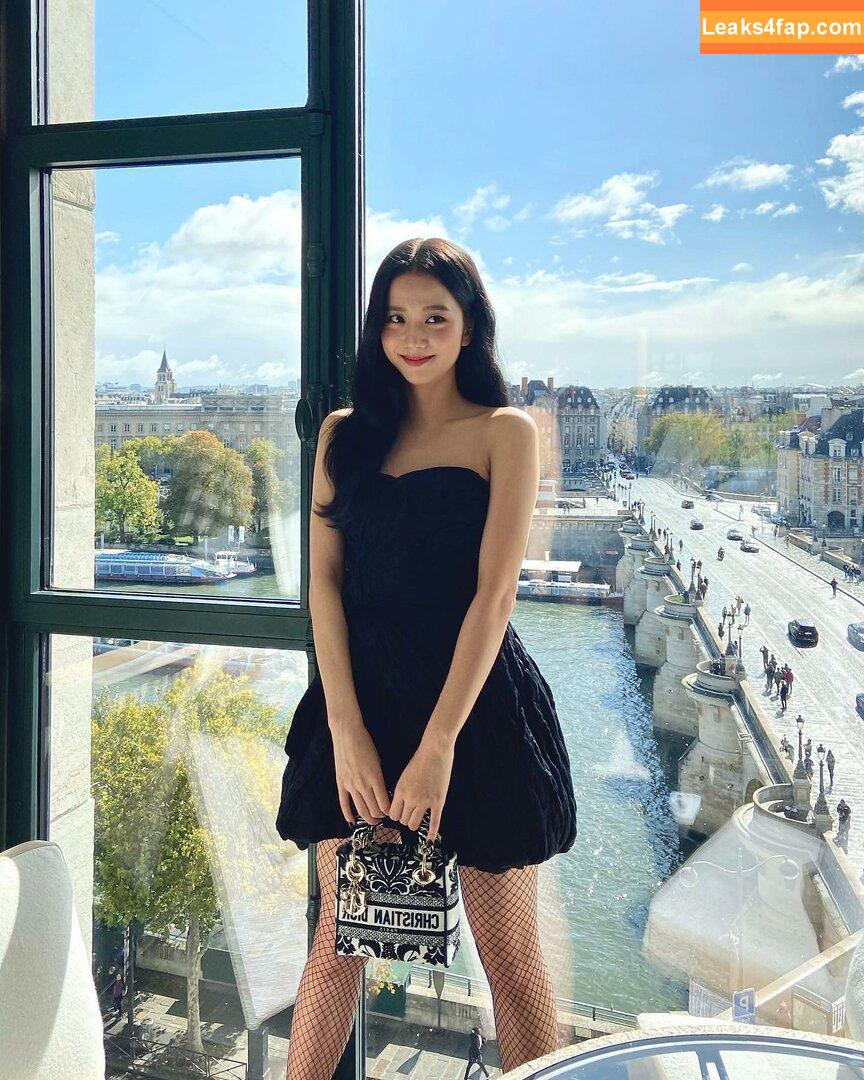 Jisoo / BLACKPINK / qenshizu / sooyaaa__ слитое фото фото #0517