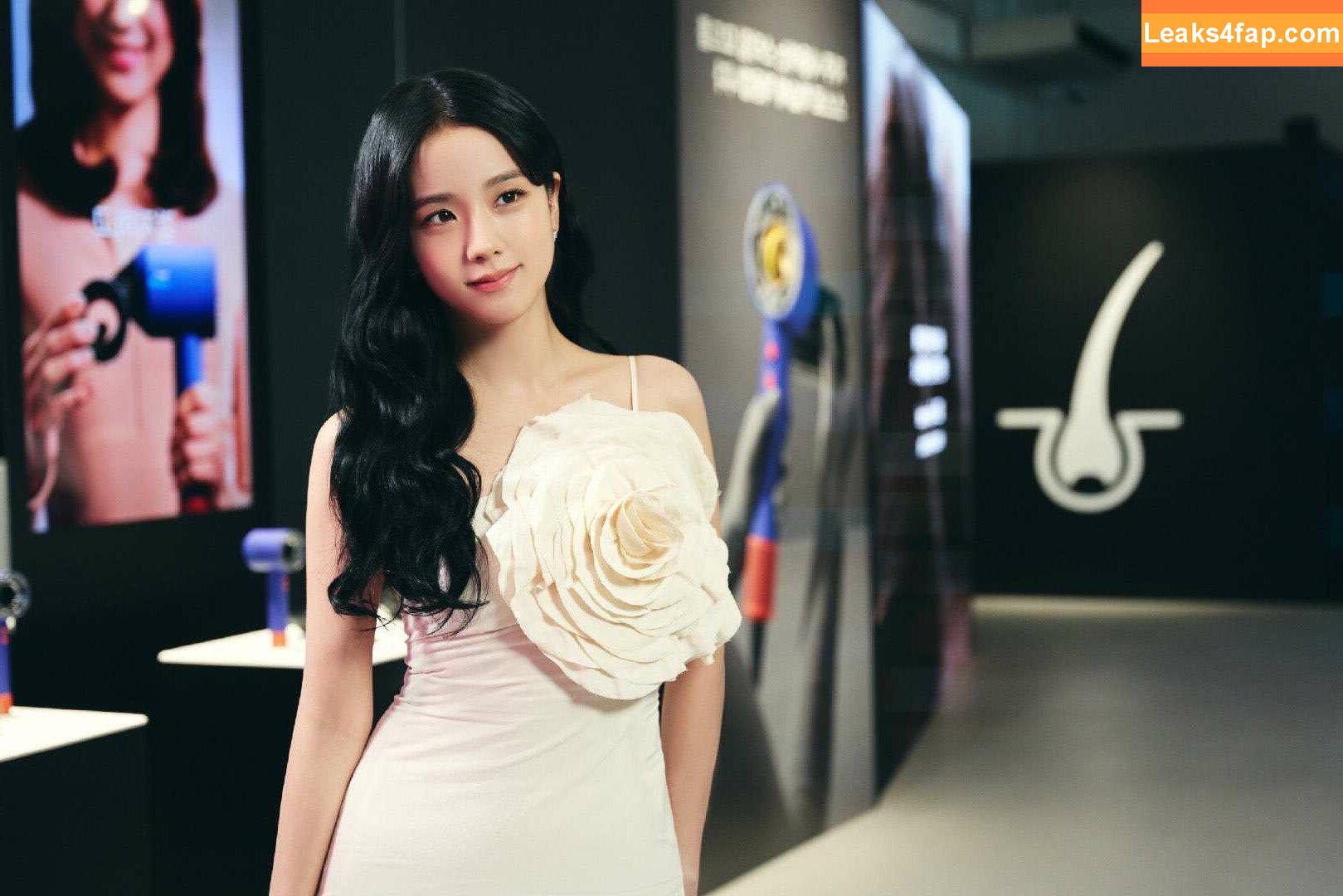 Jisoo / BLACKPINK / qenshizu / sooyaaa__ слитое фото фото #0557