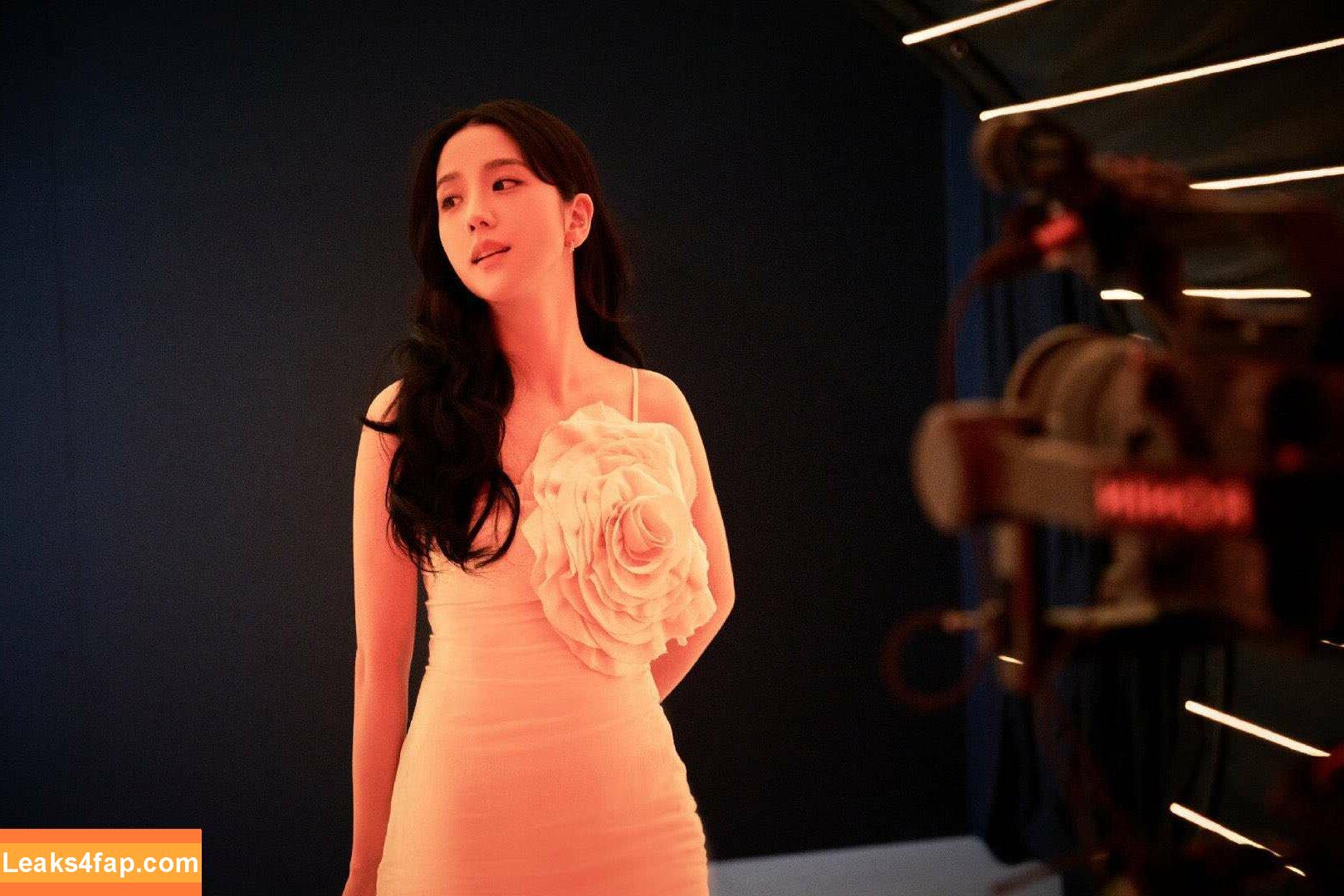 Jisoo / BLACKPINK / qenshizu / sooyaaa__ слитое фото фото #0558