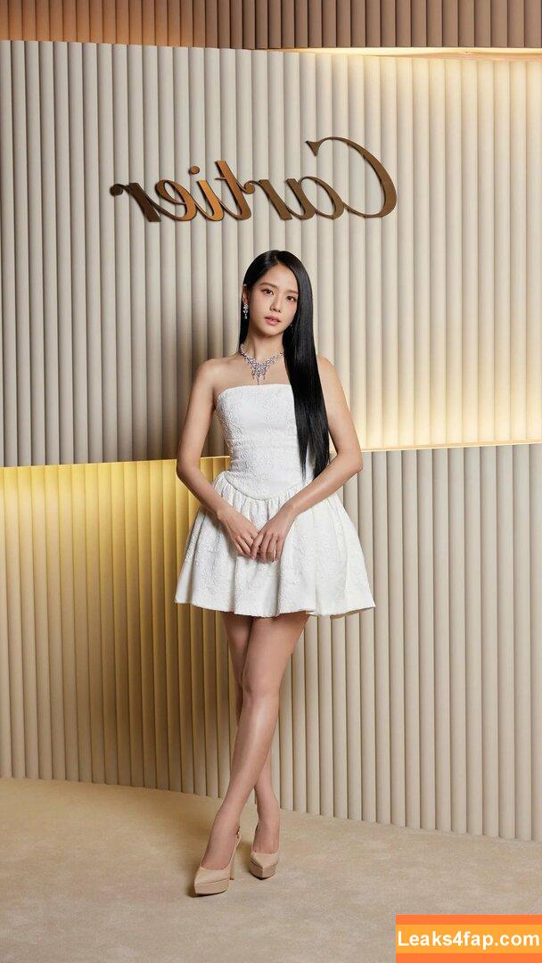 Jisoo / BLACKPINK / qenshizu / sooyaaa__ слитое фото фото #0586