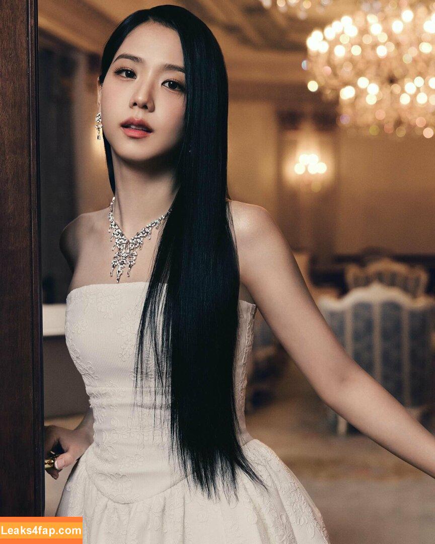 Jisoo / BLACKPINK / qenshizu / sooyaaa__ слитое фото фото #0591