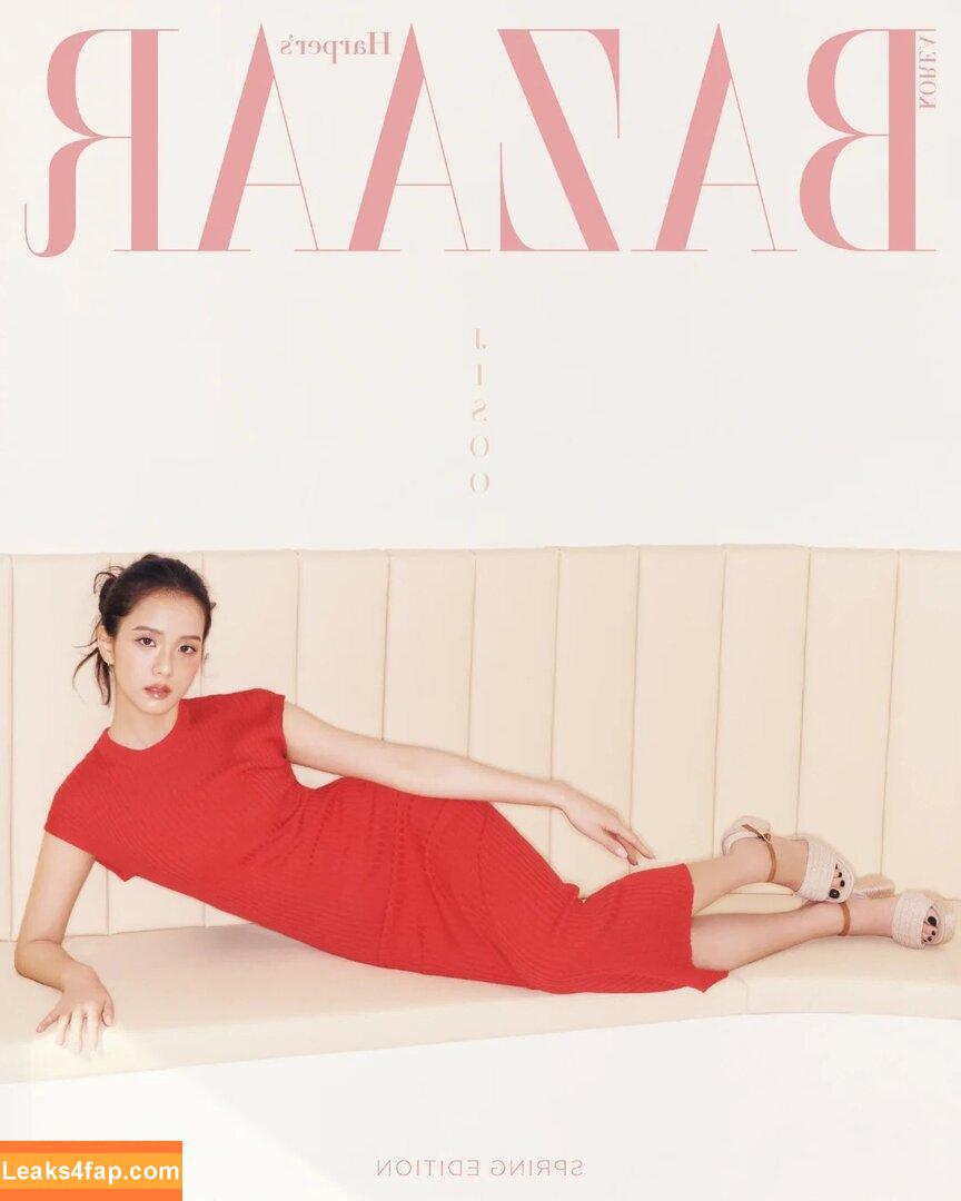 Jisoo / BLACKPINK / qenshizu / sooyaaa__ слитое фото фото #1052