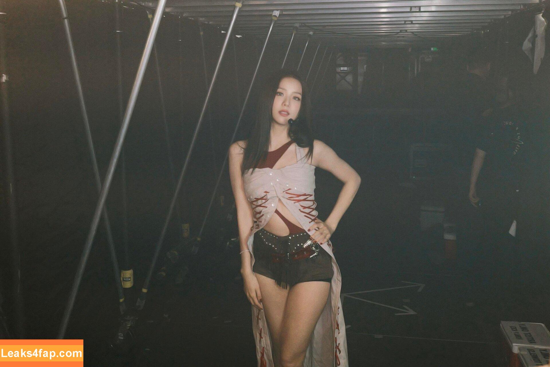 Jisoo / BLACKPINK / qenshizu / sooyaaa__ слитое фото фото #1156