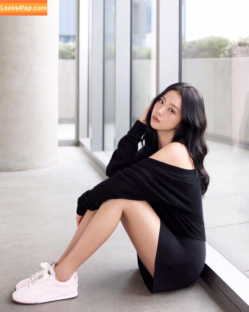 Jisoo / BLACKPINK / qenshizu / sooyaaa__ слитое фото фото #1238