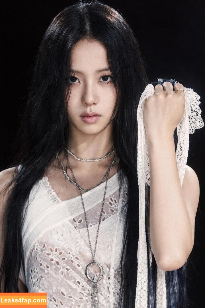 Jisoo / BLACKPINK / qenshizu / sooyaaa__ слитое фото фото #1345