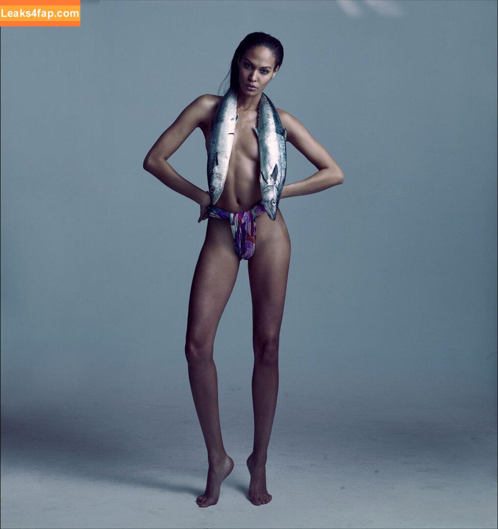 Joan Smalls / joansmalls leaked photo photo #0054