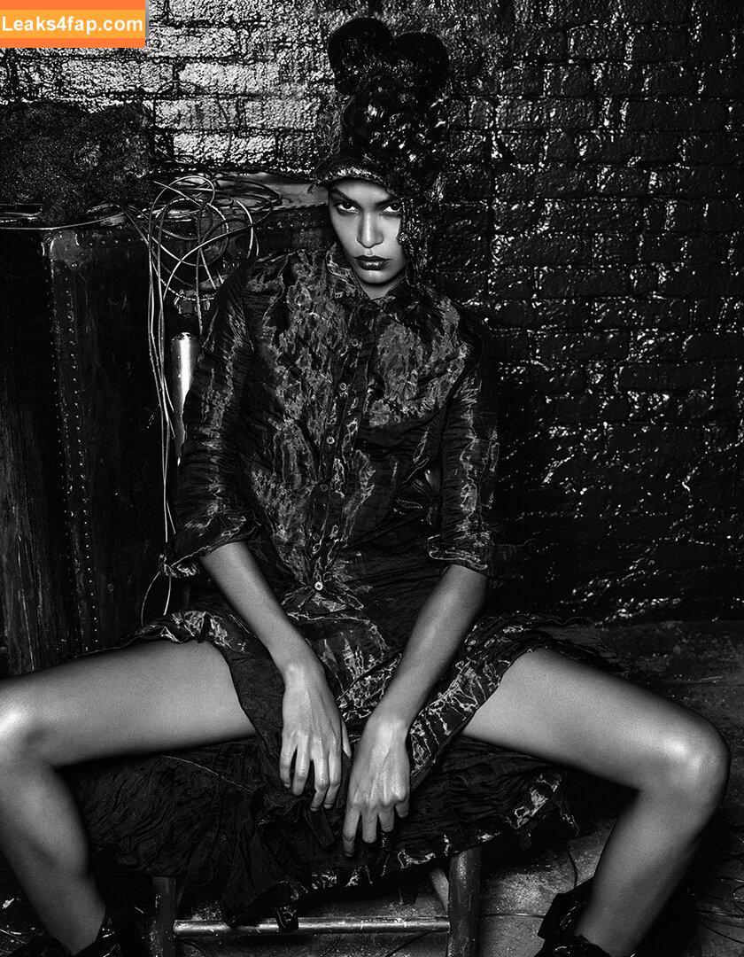 Joan Smalls / joansmalls leaked photo photo #0067