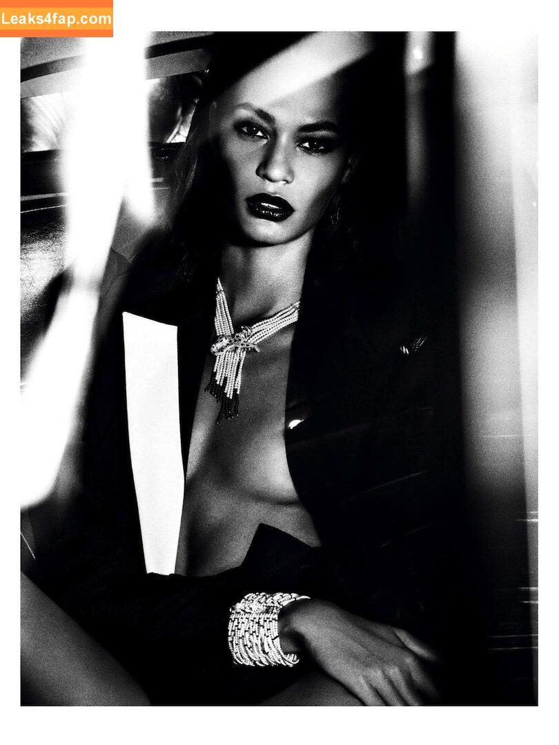 Joan Smalls / joansmalls leaked photo photo #0075