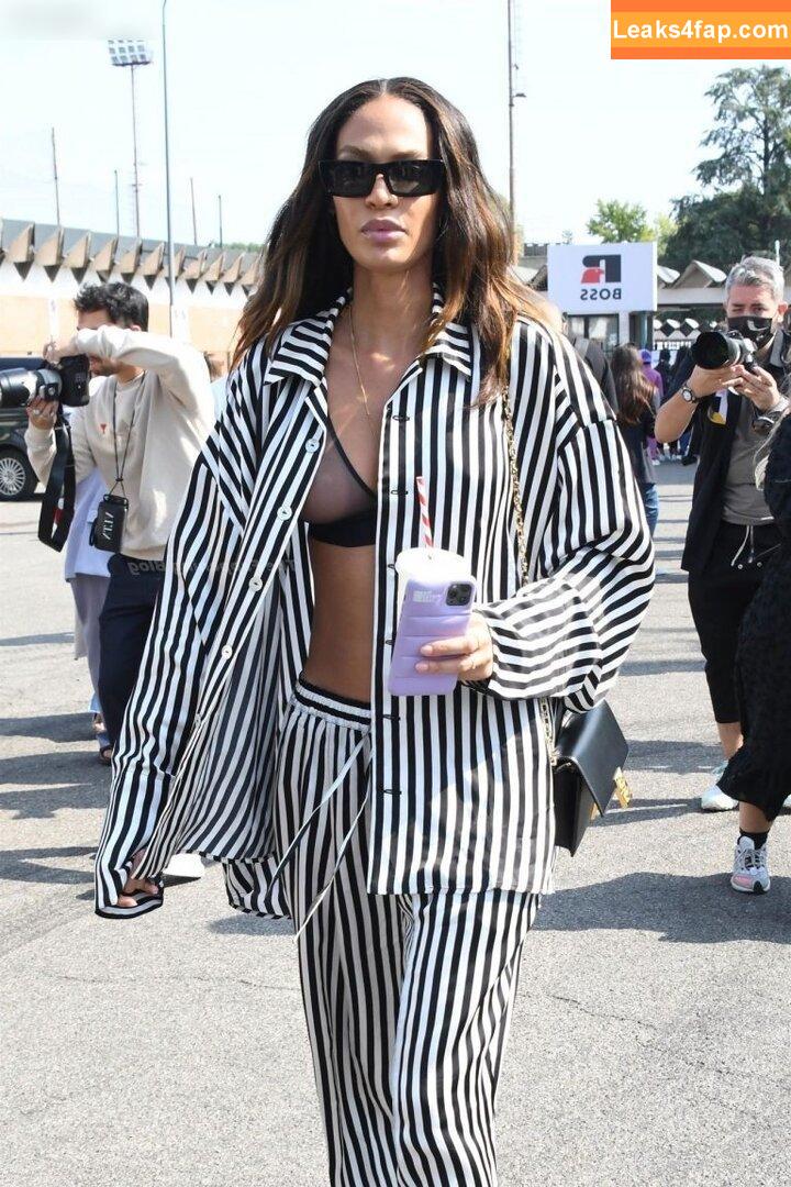 Joan Smalls / joansmalls leaked photo photo #0158