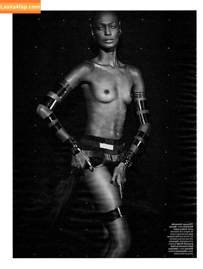 Joan Smalls / joansmalls leaked photo photo #0166