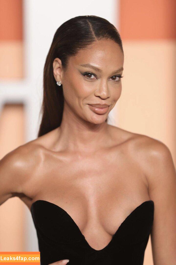 Joan Smalls / joansmalls leaked photo photo #0176