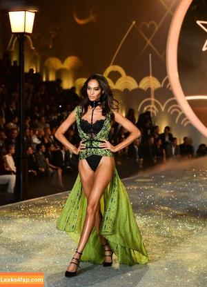 Joan Smalls photo #0139