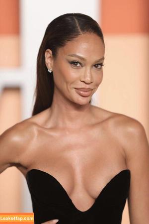 Joan Smalls photo #0176