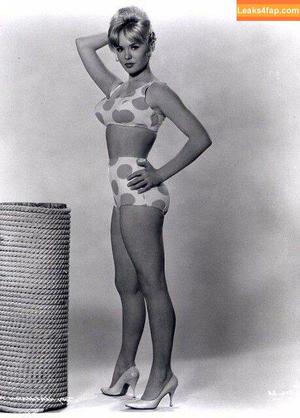 Joey Heatherton фото #0006