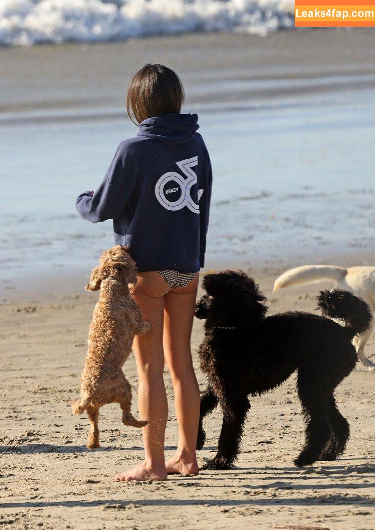 Jordana Brewster / JordanaBrewster leaked photo photo #0010