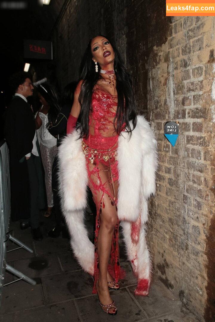 Jourdan Dunn / jourdandunn leaked photo photo #0082