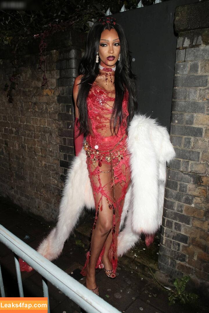 Jourdan Dunn / jourdandunn leaked photo photo #0083