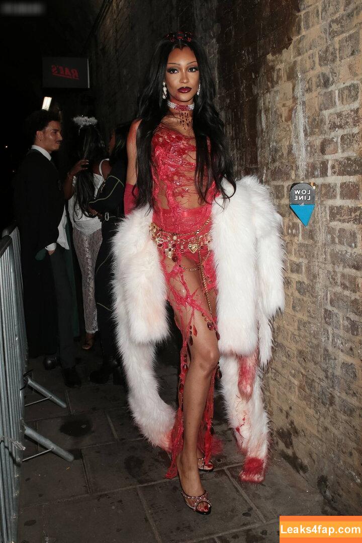 Jourdan Dunn / jourdandunn leaked photo photo #0084