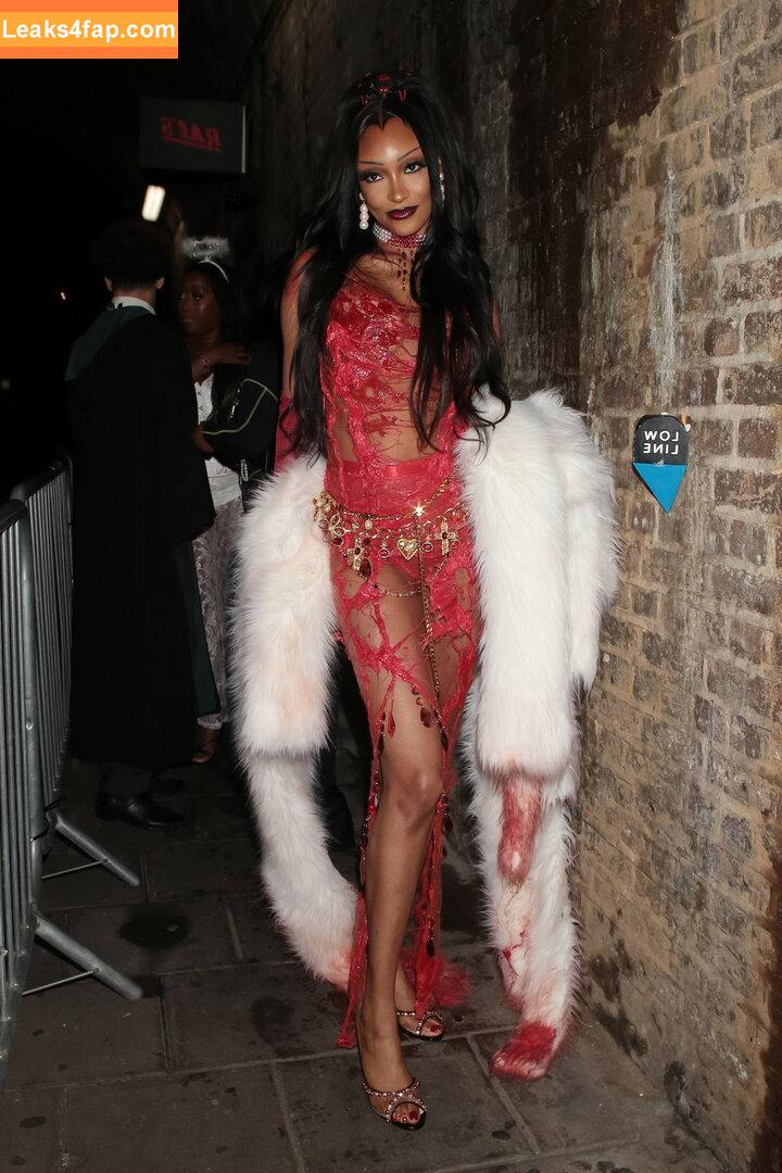 Jourdan Dunn / jourdandunn leaked photo photo #0088