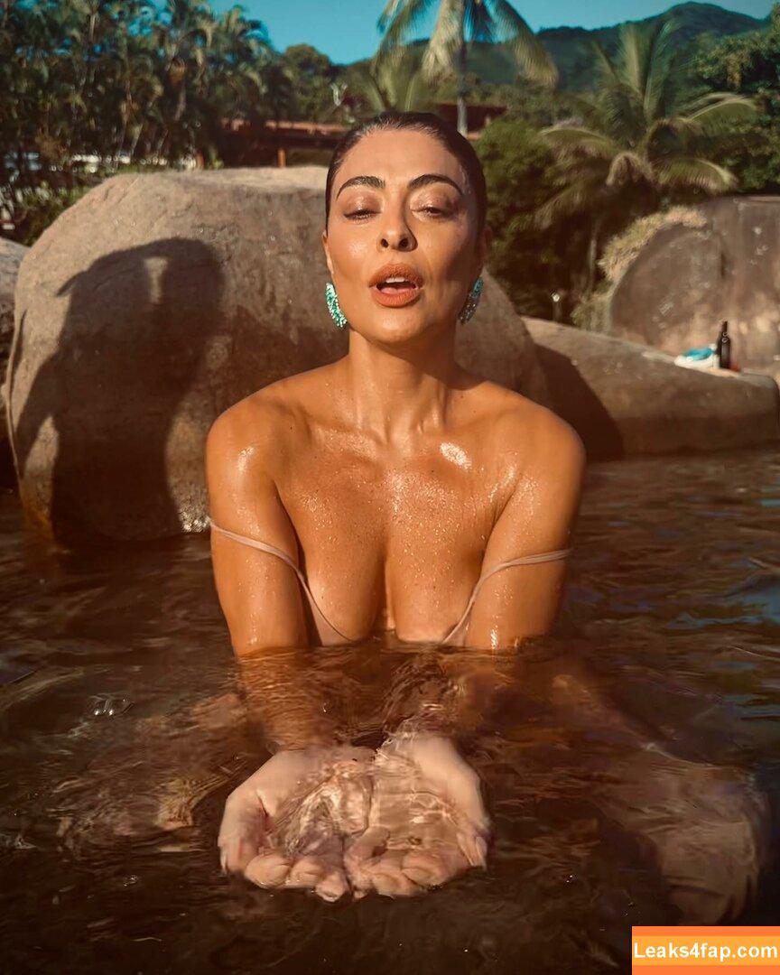 Juliana Paes / julianapaes слитое фото фото #0118