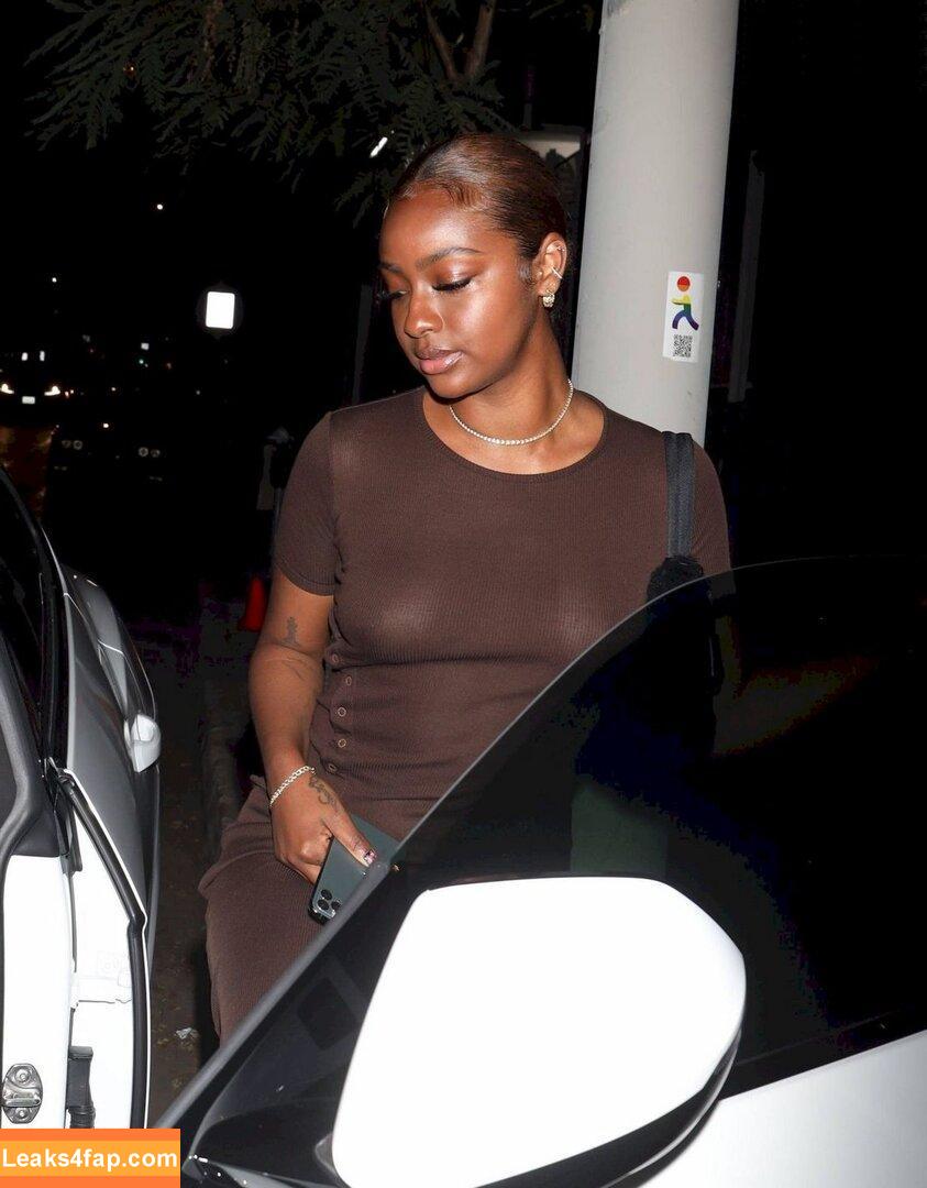 Justine Skye / justineskye слитое фото фото #0206