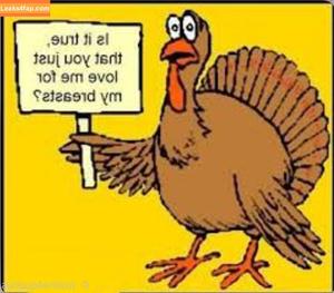 justinejakobs photo #0669