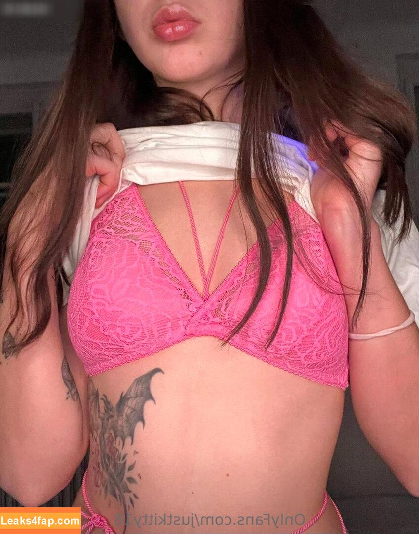 justkitty18 /  leaked photo photo #0020