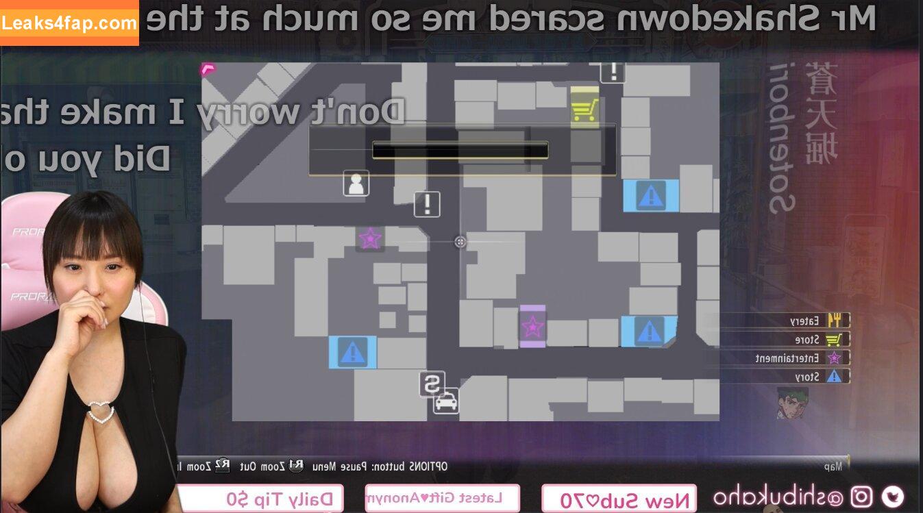 Kaho Shibuya / Shibukaho слитое фото фото #0809