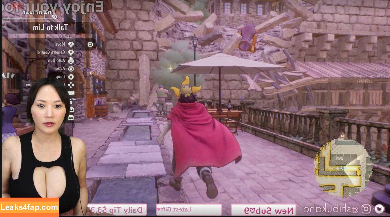 Kaho Shibuya / Shibukaho слитое фото фото #1158